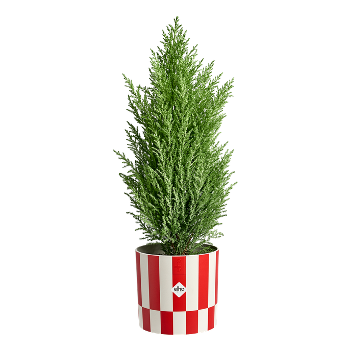 xmas blocks & stripes 15cm christmas red